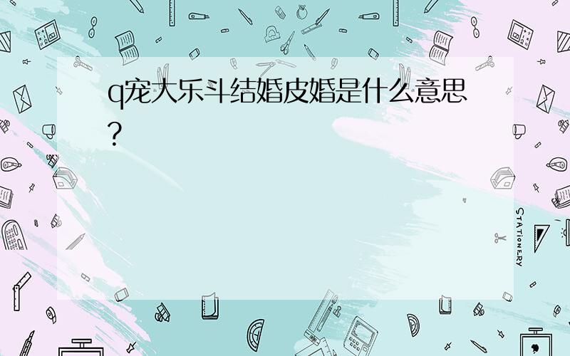 q宠大乐斗结婚皮婚是什么意思?