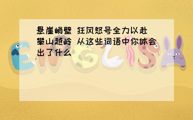 悬崖峭壁 狂风怒号全力以赴 攀山越岭 从这些词语中你体会出了什么