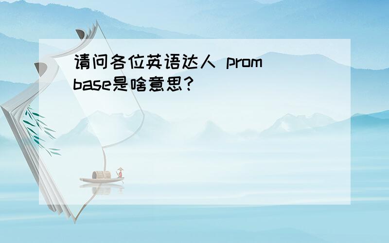 请问各位英语达人 prom base是啥意思?