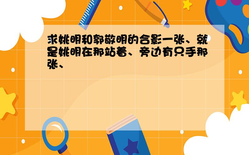 求姚明和郭敬明的合影一张、就是姚明在那站着、旁边有只手那张、