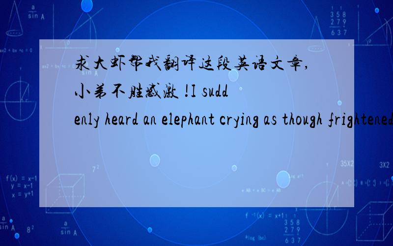 求大虾帮我翻译这段英语文章,小弟不胜感激 !I suddenly heard an elephant crying as though frightened. Looking down, I immediately recognized that something was wrong, and ran down to the edge of the near bank. There I saw Ma Shwe with