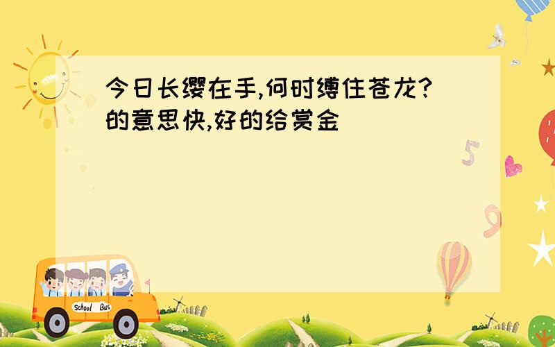 今日长缨在手,何时缚住苍龙?的意思快,好的给赏金