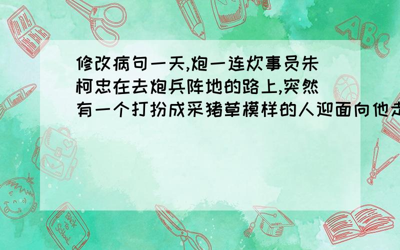 修改病句一天,炮一连炊事员朱柯忠在去炮兵阵地的路上,突然有一个打扮成采猪草模样的人迎面向他走来.