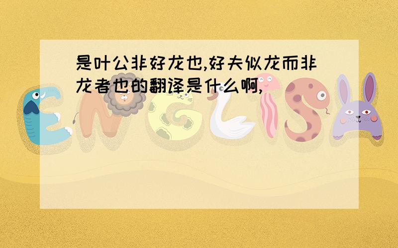 是叶公非好龙也,好夫似龙而非龙者也的翻译是什么啊,