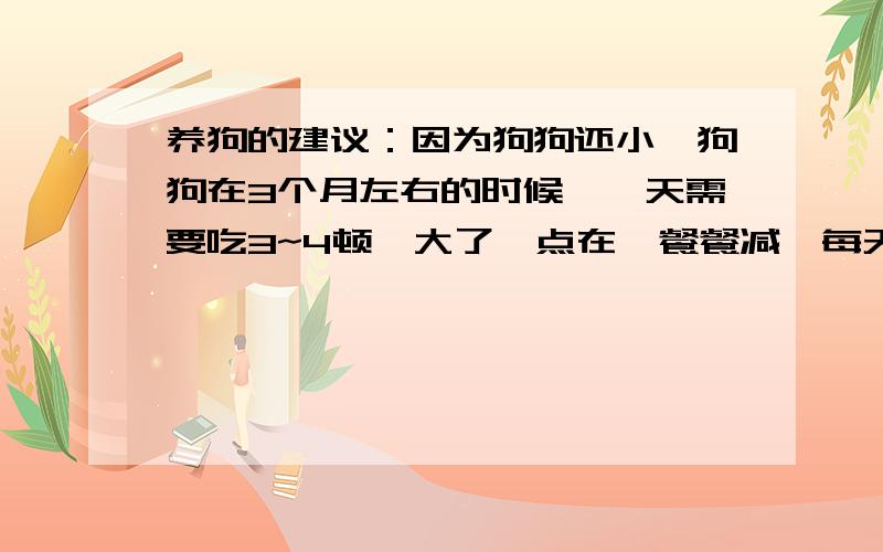 养狗的建议：因为狗狗还小,狗狗在3个月左右的时候,一天需要吃3~4顿,大了一点在一餐餐减,每天至少两顿.但是对于3个月的小狗,每天至少应该吃3顿.狗窝、喝水碗、吃饭碗、牵引绳、梳子、狗