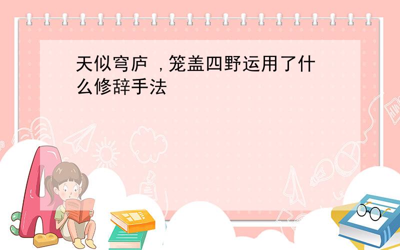 天似穹庐 ,笼盖四野运用了什么修辞手法