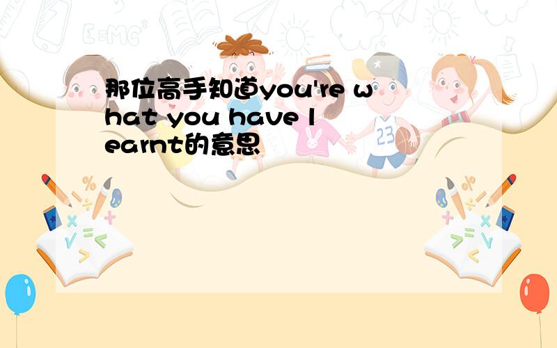 那位高手知道you're what you have learnt的意思