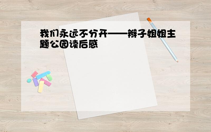 我们永远不分开——辫子姐姐主题公园读后感