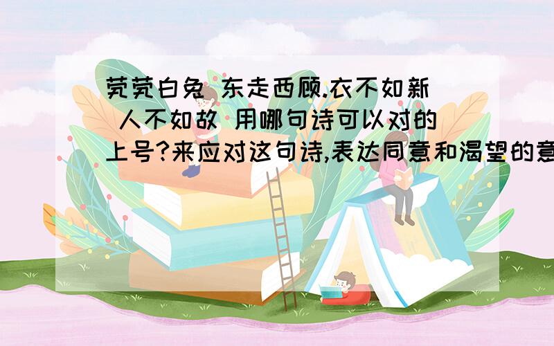 茕茕白兔 东走西顾.衣不如新 人不如故 用哪句诗可以对的上号?来应对这句诗,表达同意和渴望的意思,