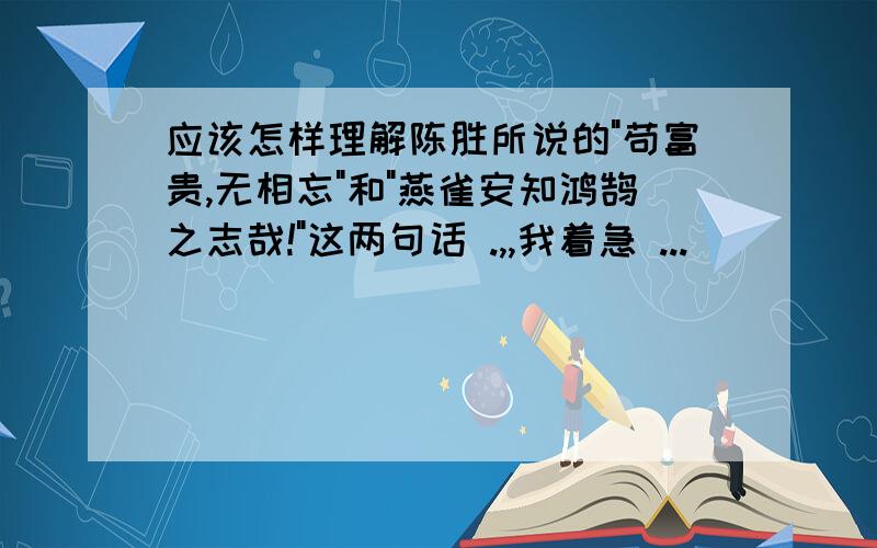 应该怎样理解陈胜所说的