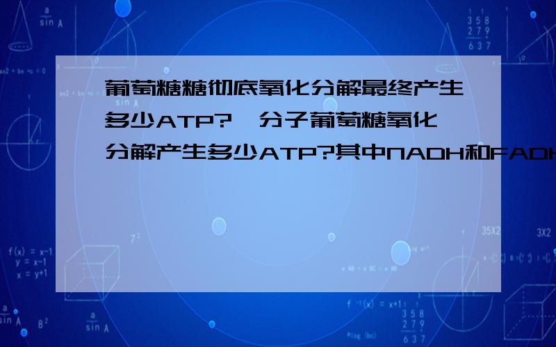 葡萄糖糖彻底氧化分解最终产生多少ATP?一分子葡萄糖氧化分解产生多少ATP?其中NADH和FADH2各折合成多少ATP?好像最新的数不是36或38了新版普通生物学上计算好像有错误