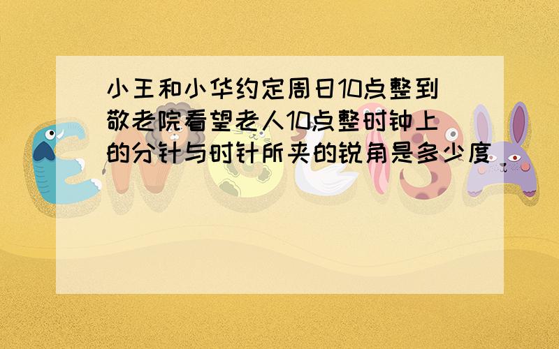 小王和小华约定周日10点整到敬老院看望老人10点整时钟上的分针与时针所夹的锐角是多少度