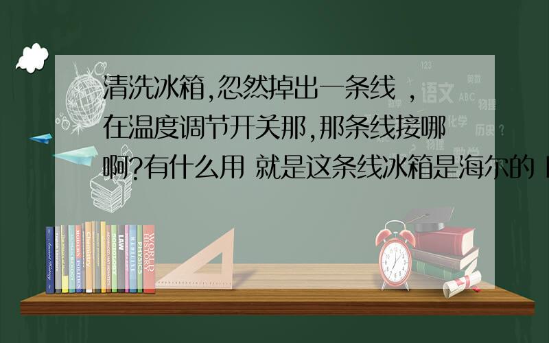 清洗冰箱,忽然掉出一条线 ,在温度调节开关那,那条线接哪啊?有什么用 就是这条线冰箱是海尔的 BCD-100AJ 那线我注意了下好像不是铜线,是铁线吧.通上电温度调节开关也能用.就是不知道这线