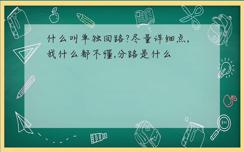 什么叫单独回路?尽量详细点,我什么都不懂,分路是什么