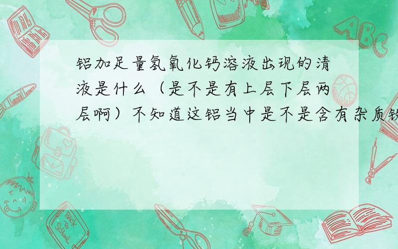 铝加足量氢氧化钙溶液出现的清液是什么（是不是有上层下层两层啊）不知道这铝当中是不是含有杂质铁，想要检验可以加稀硫酸，但为什么要先弃去上层清液