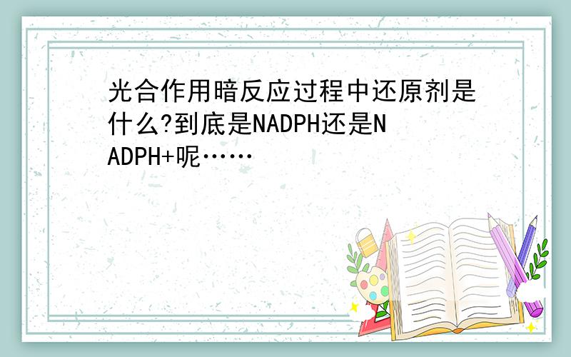 光合作用暗反应过程中还原剂是什么?到底是NADPH还是NADPH+呢……