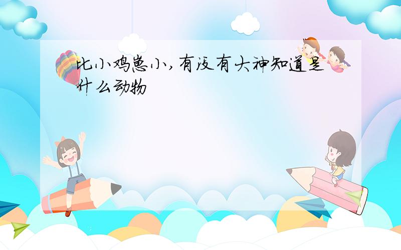 比小鸡崽小,有没有大神知道是什么动物