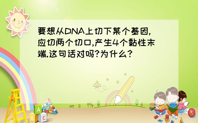 要想从DNA上切下某个基因,应切两个切口,产生4个黏性末端.这句话对吗?为什么?