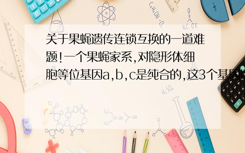 关于果蝇遗传连锁互换的一道难题!一个果蝇家系,对隐形体细胞等位基因a,b,c是纯合的,这3个基因以a、b、c的顺序连锁.将这种雌性果蝇和野生型果蝇杂交.f1的杂合子之间相互杂交,得到f2,如下