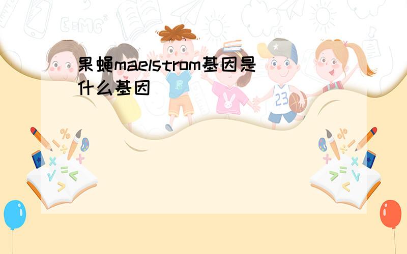 果蝇maelstrom基因是什么基因