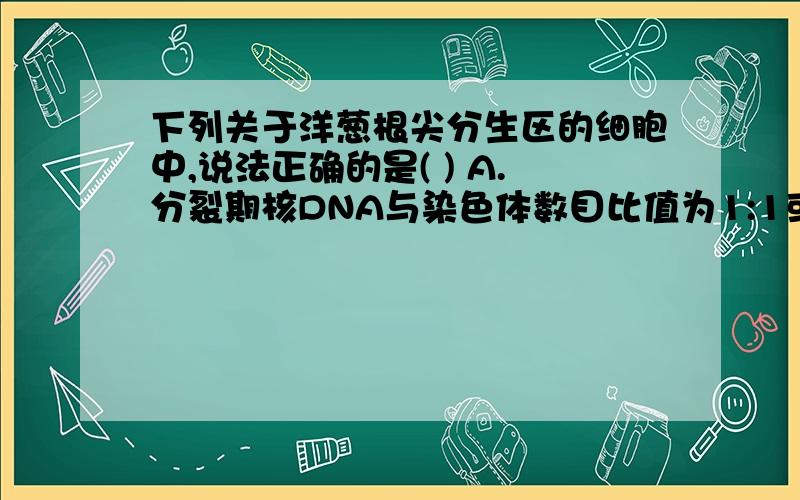 下列关于洋葱根尖分生区的细胞中,说法正确的是( ) A.分裂期核DNA与染色体数目比值为1:1或2:1B.细胞分裂过程中，叶绿体的分配是随机的、不均等的 C.用酶解法去其细胞壁，可用于植物组织培