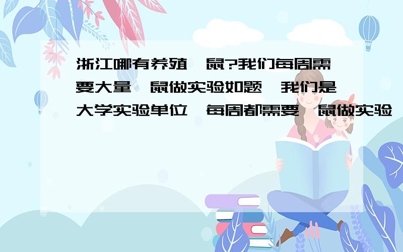 浙江哪有养殖豚鼠?我们每周需要大量豚鼠做实验如题,我们是大学实验单位,每周都需要豚鼠做实验,要彩色豚鼠,有温州的养殖场最好,