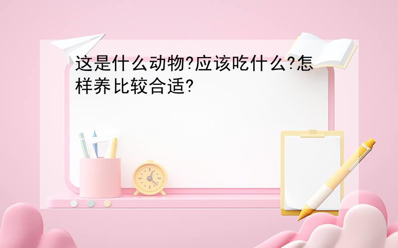 这是什么动物?应该吃什么?怎样养比较合适?