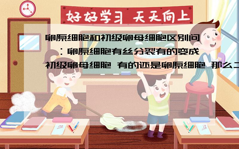 卵原细胞和初级卵母细胞区别问一：卵原细胞有丝分裂有的变成初级卵母细胞 有的还是卵原细胞 那么二这从什么时候产生差异性 是前者会联会 问二：若问一种假设正确 也就是说 初级卵母