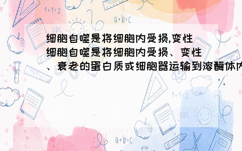 细胞自噬是将细胞内受损,变性细胞自噬是将细胞内受损、变性、衰老的蛋白质或细胞器运输到溶酶体内并降解的过程.下图中A、B、C表示细胞自噬的三种方式,相关说法正确的是①细胞通过C减