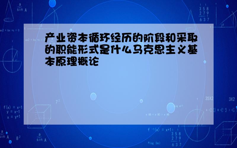 产业资本循环经历的阶段和采取的职能形式是什么马克思主义基本原理概论