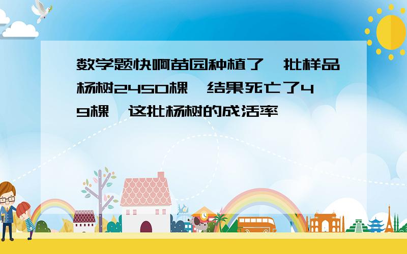 数学题快啊苗园种植了一批样品杨树2450棵,结果死亡了49棵,这批杨树的成活率