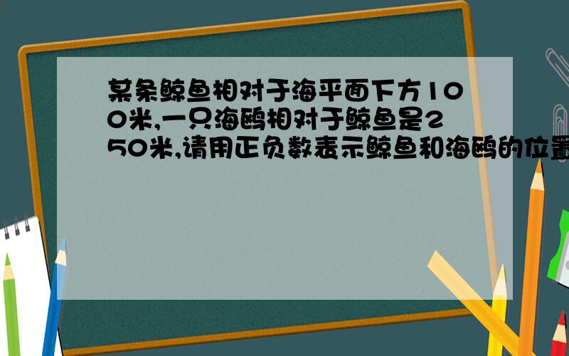 某条鲸鱼相对于海平面下方100米,一只海鸥相对于鲸鱼是250米,请用正负数表示鲸鱼和海鸥的位置?海平面0米