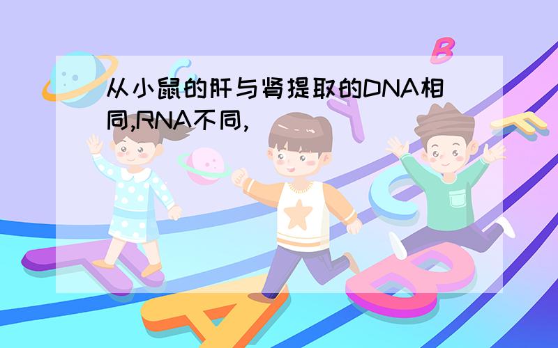 从小鼠的肝与肾提取的DNA相同,RNA不同,