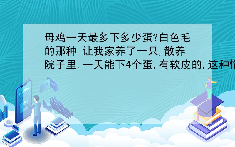 母鸡一天最多下多少蛋?白色毛的那种.让我家养了一只,散养院子里,一天能下4个蛋,有软皮的,这种情况是怎么回事?