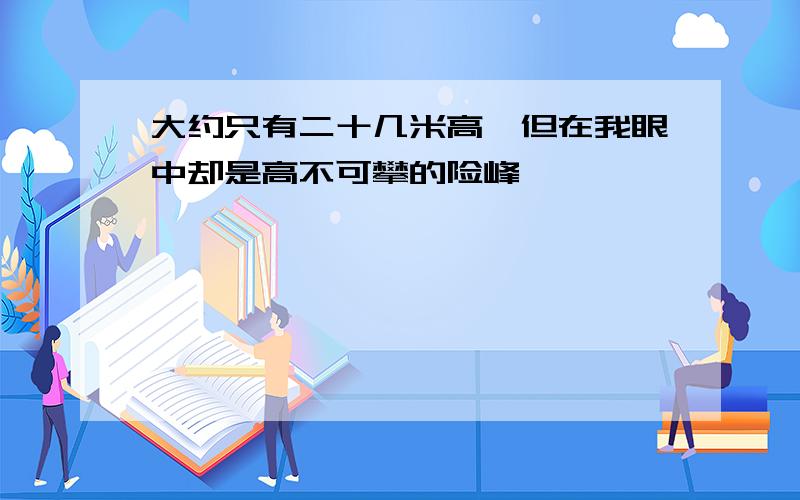 大约只有二十几米高,但在我眼中却是高不可攀的险峰