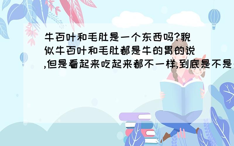 牛百叶和毛肚是一个东西吗?貌似牛百叶和毛肚都是牛的胃的说,但是看起来吃起来都不一样,到底是不是一个东西捏～