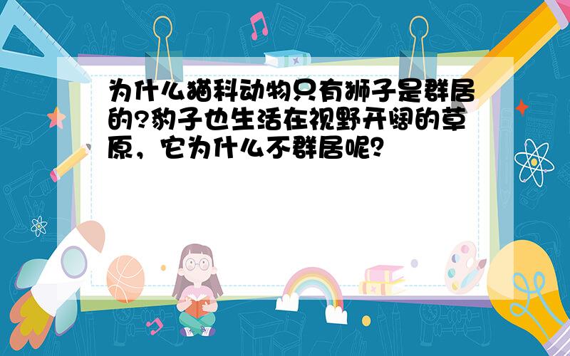 为什么猫科动物只有狮子是群居的?豹子也生活在视野开阔的草原，它为什么不群居呢？