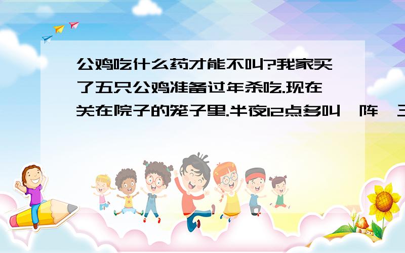 公鸡吃什么药才能不叫?我家买了五只公鸡准备过年杀吃.现在关在院子的笼子里.半夜12点多叫一阵,三点多叫一阵,五点些又叫了.白天也偶尔会叫.很是扰民,也不能现在就杀.很头疼.各位大师救