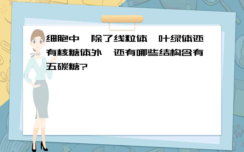 细胞中,除了线粒体、叶绿体还有核糖体外,还有哪些结构含有五碳糖?