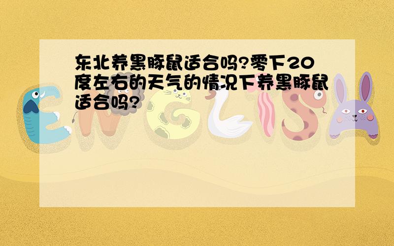 东北养黑豚鼠适合吗?零下20度左右的天气的情况下养黑豚鼠适合吗?