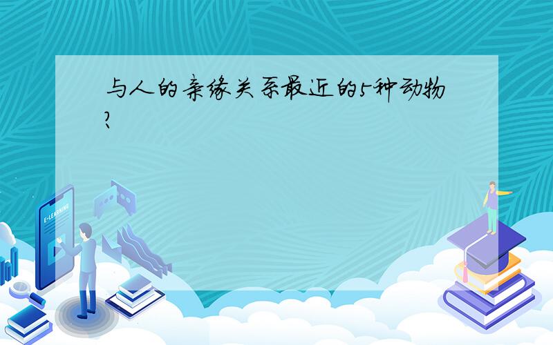 与人的亲缘关系最近的5种动物?