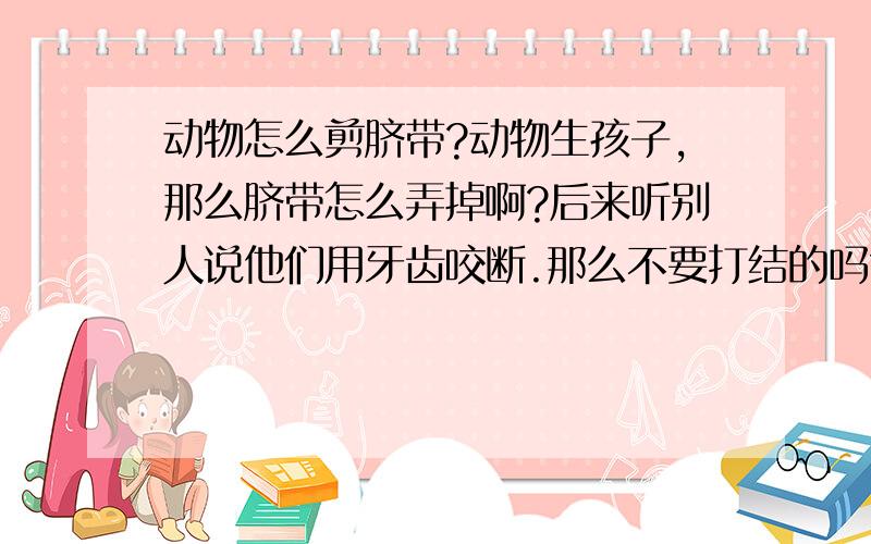 动物怎么剪脐带?动物生孩子,那么脐带怎么弄掉啊?后来听别人说他们用牙齿咬断.那么不要打结的吗?动物怎么打结- -...对了问个问题 脐带比如咬断后 那剩余的那部分就会被母体给吸收进去吗