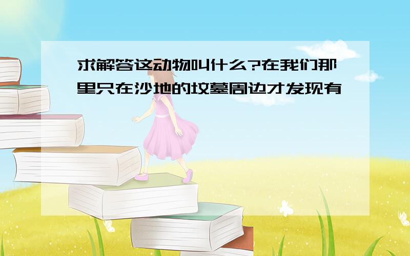 求解答这动物叫什么?在我们那里只在沙地的坟墓周边才发现有