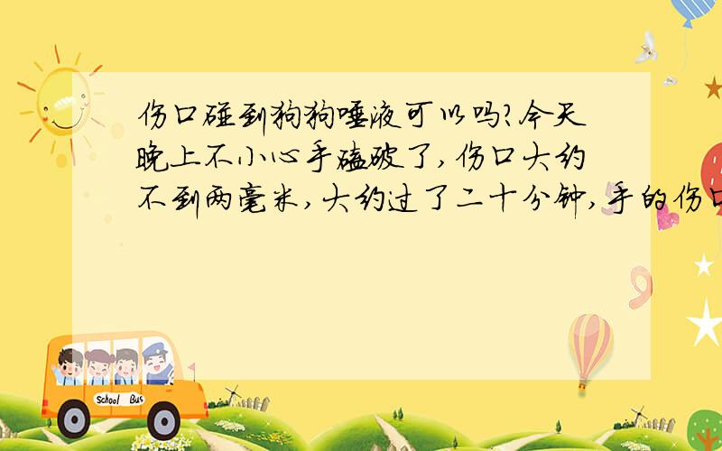 伤口碰到狗狗唾液可以吗?今天晚上不小心手磕破了,伤口大约不到两毫米,大约过了二十分钟,手的伤口处好像碰到了狗狗的唾液,这样会传染狂犬病吗?狗狗打过疫苗大约一小时后清洗的