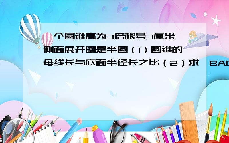 一个圆锥高为3倍根号3厘米,侧面展开图是半圆（1）圆锥的母线长与底面半径长之比（2）求∠BAC的度数（3）圆锥的侧面积（结果保留π）