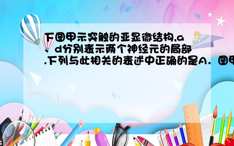 下图甲示突触的亚显微结构,a、d分别表示两个神经元的局部.下列与此相关的表述中正确的是A．图甲中细胞在胚胎发育早期进行分裂时DNA 量变化如图乙所示B．图甲中兴奋由b传至c的过程中,①