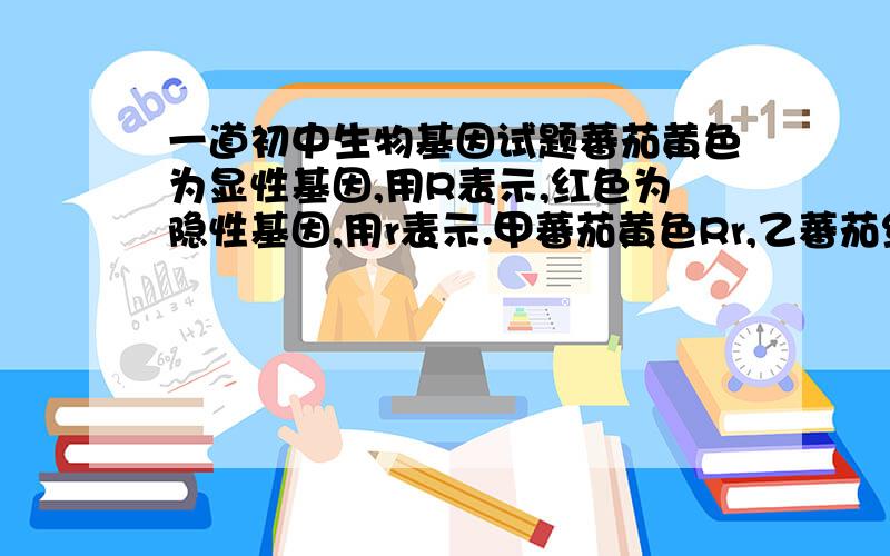 一道初中生物基因试题蕃茄黄色为显性基因,用R表示,红色为隐性基因,用r表示.甲蕃茄黄色Rr,乙蕃茄红色Rr,将乙蕃茄雄蕊去掉后,用甲的花粉传给乙蕃茄,问乙蕃茄最后结的果实是何种颜色?题目