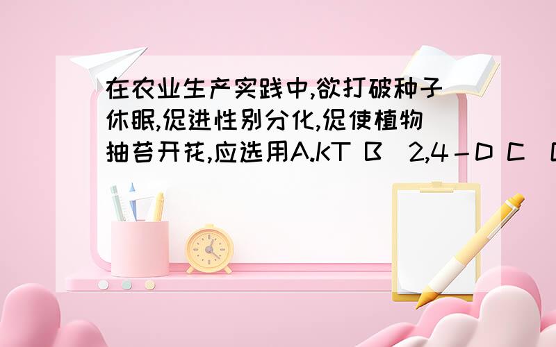 在农业生产实践中,欲打破种子休眠,促进性别分化,促使植物抽苔开花,应选用A.KT B．2,4－D C．GA3 D．ABA