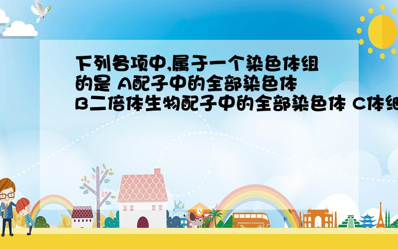 下列各项中,属于一个染色体组的是 A配子中的全部染色体 B二倍体生物配子中的全部染色体 C体细胞中的下列各项中,属于一个染色体组的是 A配子中的全部染色体 B二倍体生物配子中的全部染