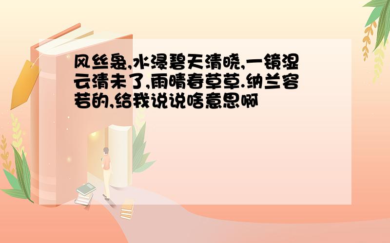 风丝袅,水浸碧天清晓,一镜湿云清未了,雨晴春草草.纳兰容若的,给我说说啥意思啊